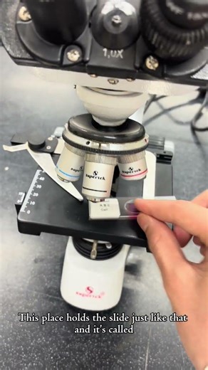 Can you name these microscope parts? 🔬￼