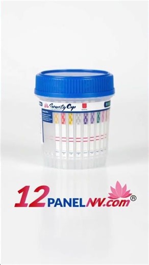 Streamlining Your Drug Testing Program: An Implementation Guide for Rapid Urine Test Cups