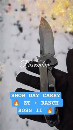 Snow Day Carry | ZT 0630 + Ranch Boss II + Bear & Son Project ❄️