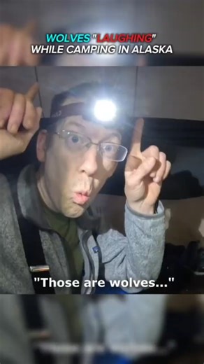 Wolves "Laughing" while camping in Alaska | ( ‪@OutdoorBoys‬ ) #survival #camping #outdoor