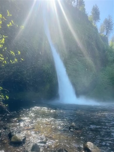 Sophie Rae Lichterman on Instagram: "When people ask why I moved to Oregon"