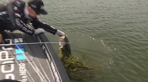 Sam Rayburn's plentiful patterns - Toyota Bassmaster Texas Fest benefiting the Texas Parks and Wildlife Department - Bassmaster BassCam