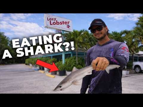 I Asked this Restaurant to Cook A Shark I Caught! *Catch & Cook*