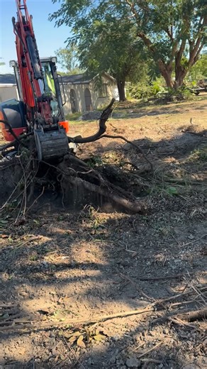 Gusmel Franco | Tree service in Miami on Instagram: "Franco Brothers LLC 🌳💪Tree Service • Junk Removal • Lawn Care • Fencing • excavation• Bobcat work•Concrete • stump removal. 7862816468 ☎️ #treeservice #bluecollar #lawncare"