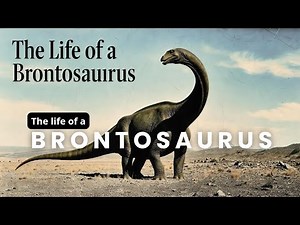 The Life of Brontosaurus 🦕 | Gentle Giant Dinosaur Story for Kids