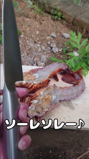 Instant stove is perfect for BBQ #bbq