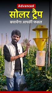 13K views · 255 reactions | Integrated Pest Management (IPM) promotes...