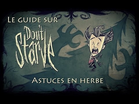 Don't Starve : Les meilleurs conseils pour survivre facilement !