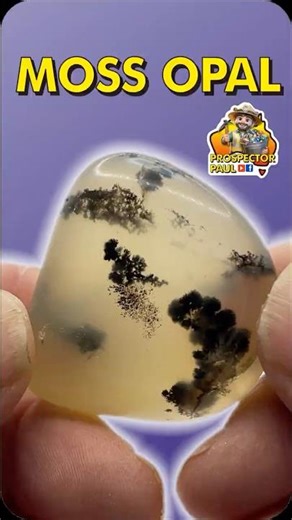 Moss Opal Before and After Cutting and Polishing #rockhounding #crystals #gemstone #gems #geology