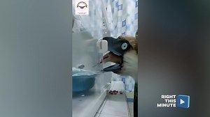 MIDDAY UPLIFT: Feeding babies can be tough, especially if you’re feeding a baby eagle. But, the Philippine Eagle Foundation has figured out a way! (Credit: //Facebook.com/phileaglefdn) | Region 8 News