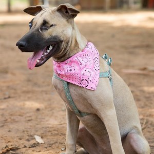 67 reactions · 11 shares | Nita may not be able to talk, but we're...