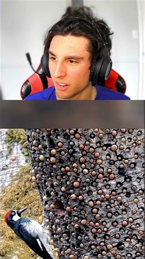 Phobia Test: Trypophobia Reaction 😱 #shorts