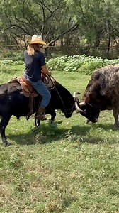 Oh CRAP! | Rodeo Time