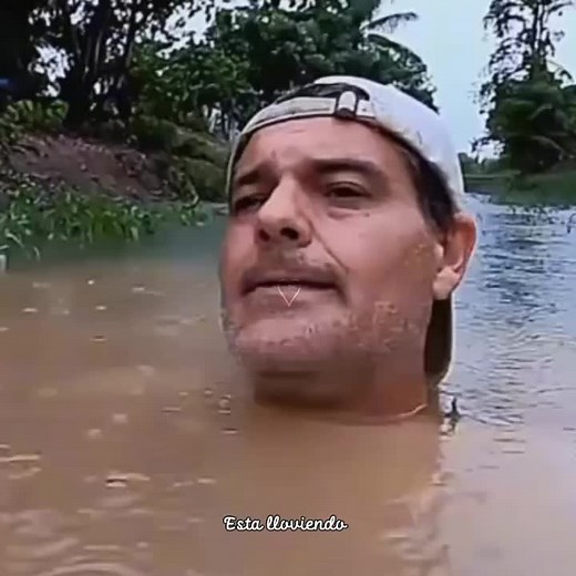 Sonidos de foca y aventuras bajo la lluvia