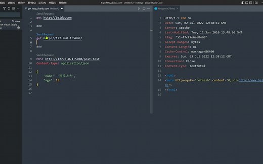 vscode代替postman快速发起请求