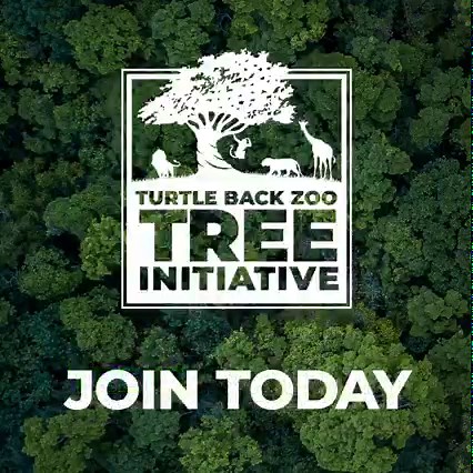 315 reactions · 36 shares | One Membership = One Tree  Every new membership includes a year of unlimited visits to the Zoo and more. | Turtle Back Zoo | Facebook