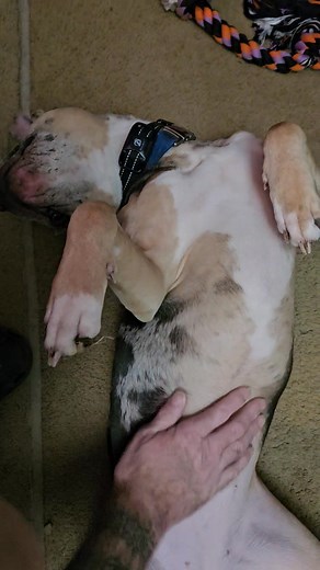 Derrick Jay on Reels