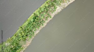 aerial view big fish farm growing fish and shrimp and other seafood Stock Video