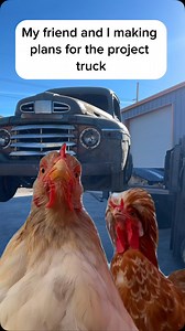 3.9K views · 95 reactions | This is Doug and Carson every time a new truck shows up to the shop. #truck #ford #diesel #shoplife #projectcar | Black Sheep Customs | Facebook