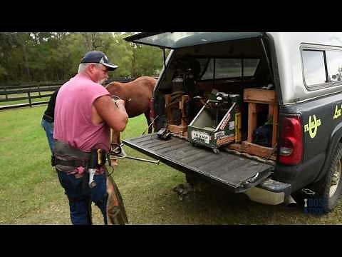 A Farrier Using The Hoof Boss Mobile