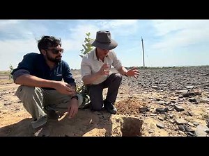 Desert varnish on a desert pavement