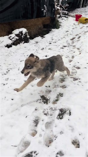 Fast Boy: Showcasing Speed and Athleticism