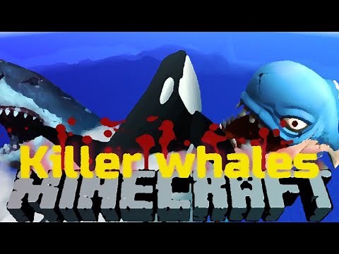 HOW TO SPAWN KILLER WHALE // MINECRAFT PE