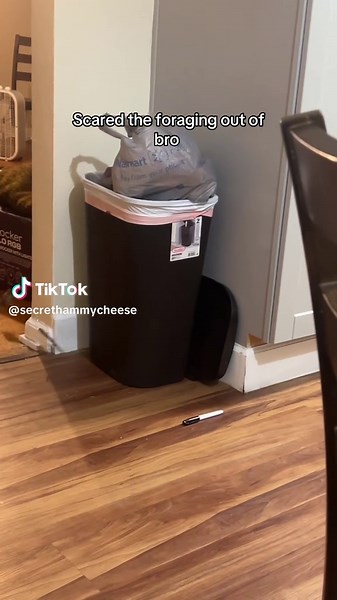 Creative Solutions for Everyday Problems