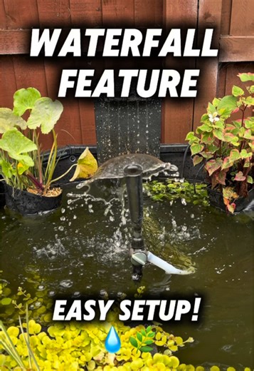How to Install a Waterfall Feature for Your Pond