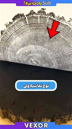 تکنیک اندازه گیری سن و سال درخت های باستانی! طبیعت شناسی