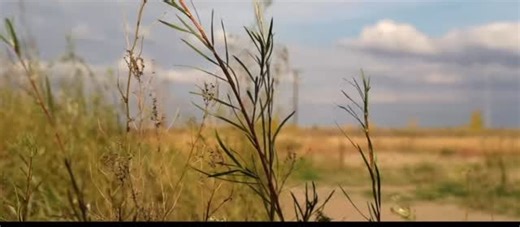 Farleys Truck & Auto + Farley’s classics on Instagram: "The Farleys team is headed to @barrett_jackson in Scottsdale today! Be sure to tune in to see how much these amazing cars go for! 🔥 1969 Chevrolet Camaro “The Incinerator” 🔥 🟧 Lot #1329 | Prime Time – Saturday Jan 24th • 3,000 hour, ground-up Pro-Touring build • GM Performance 6.2L V8 w/ Edelbrock E-Force supercharger • Custom blower cam & polished 3” exhaust • TCI 6X6 automatic w/ paddle-shift • Art Morrison MAX G chassis w/ coilovers •