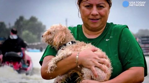 How to know if your disaster relief donations are really helping