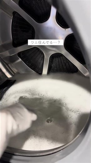 Eighth month, first time cleaning the washing machine drum.