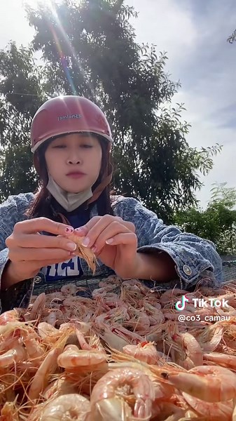 Toim khô đất nha