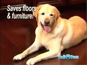PediPaws