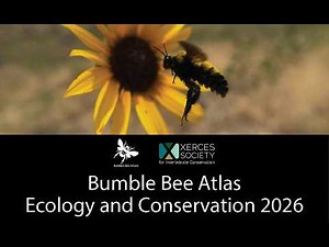 Bumble Bee Atlas: Ecology And Conservation: 2026