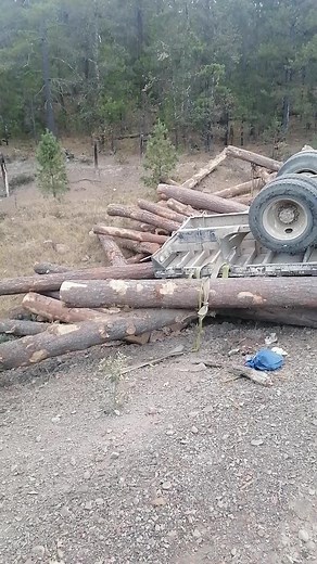 Logging Truck Accident Scene in Dense Forest