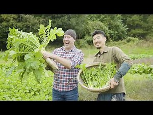 Experiencing farm life with locals - Hokuto: City of Organic Farming_05