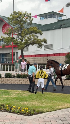 Stakes racing action begins with the $75,000 Jim’s Orbit Stakes! 💚🐎 | Sam Houston Race Park
