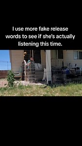 What do you do when your dog messes up? | Legendary Service Dogs