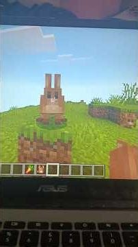 the new rabbit models are more realistic or disitnct