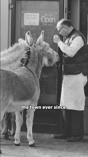 The Colorado Town Where Donkeys Roam Free…