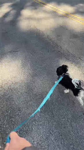 ERIC THE SAIYAN98 (@ericsaiyan98)’s videos with The Beach - Sonic Spark