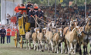 3.6M views · 72K reactions | ✨ Draft Show in Germany  Teaching...