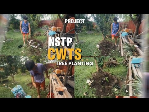 Fruit Bearing Tree Planting | NSTP - CWTS (Remake)
