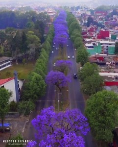 58K views · 658 reactions | Mexico lindo y querido | Mexican Culture | Facebook