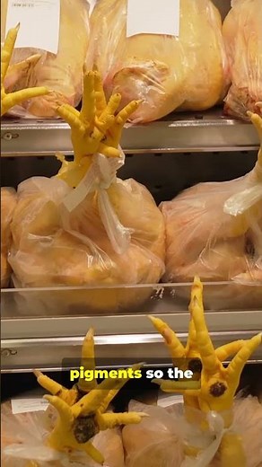 The Truth About Why American Chicken Is Yellow