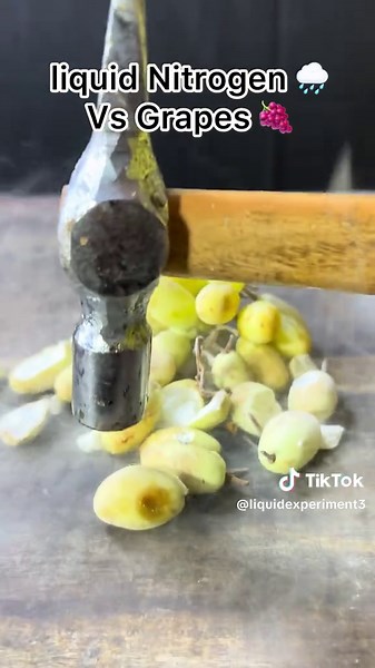 Amazing Science Experiment with Grapes and Liquid Nitrogen