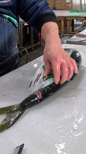 すだちブリ捌く技術とアジアの料理