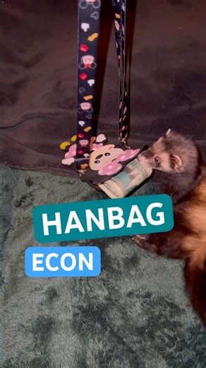 The Ideology of Austerity